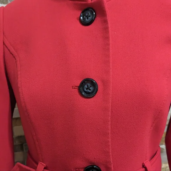 Gorgeous Fall/Spring Coat - Picture 2 of 6